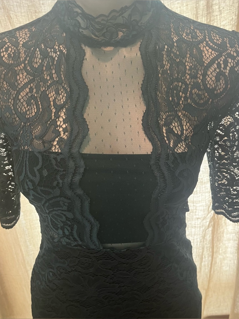 Express Lace Sheath Dress